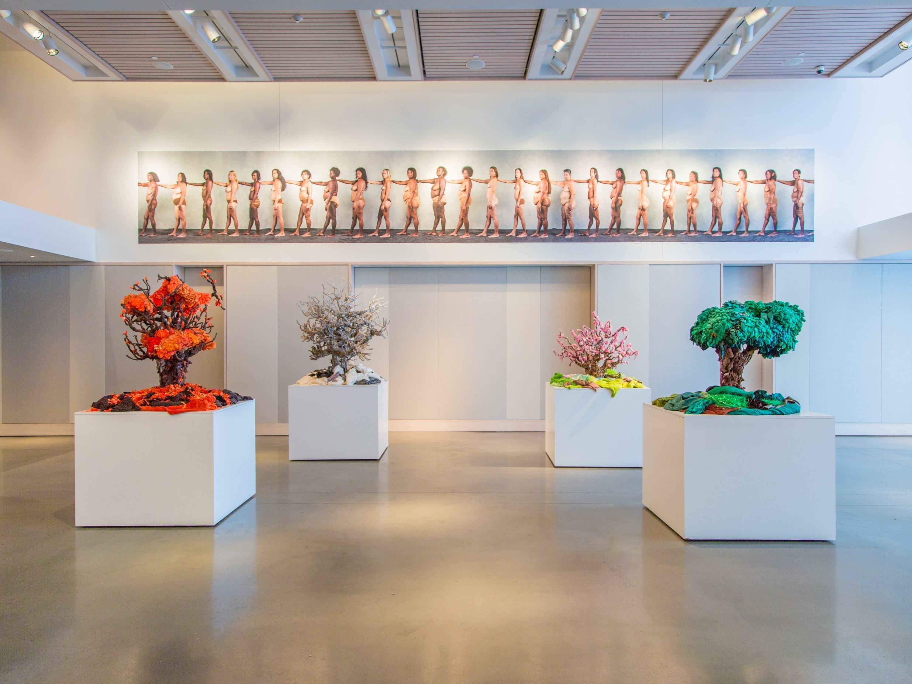 a group of plants in a room