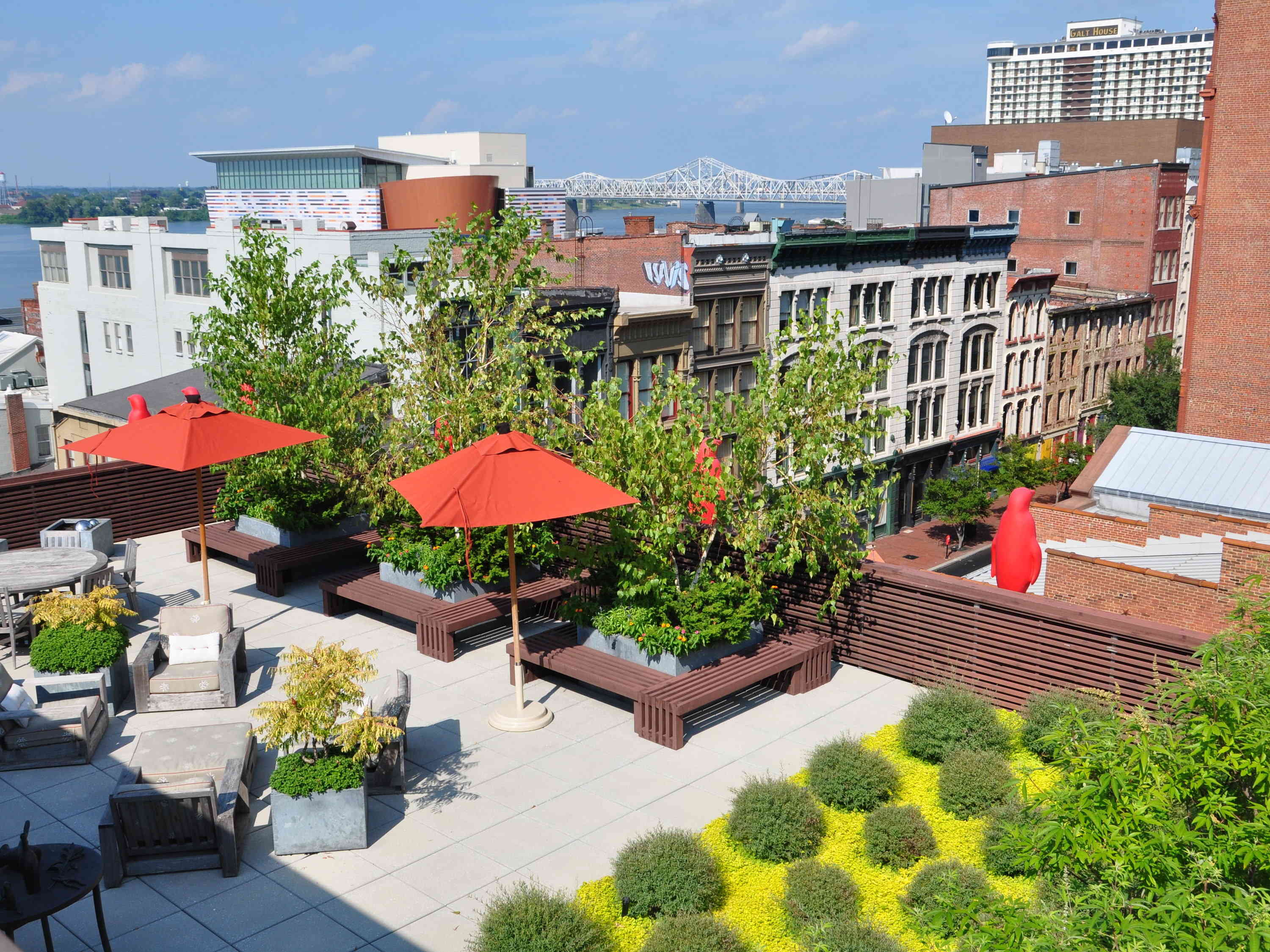 a rooftop patio with trees and umbrellas