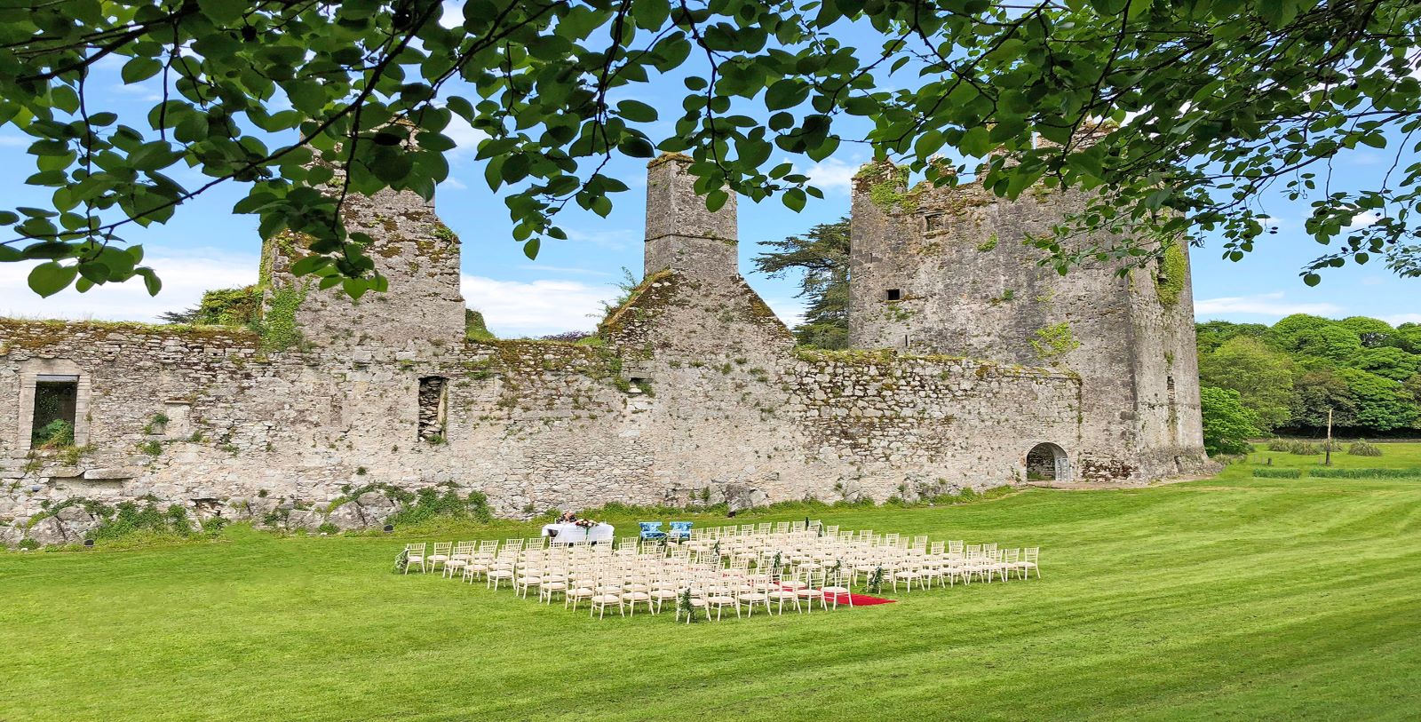 a group of chairs in a field