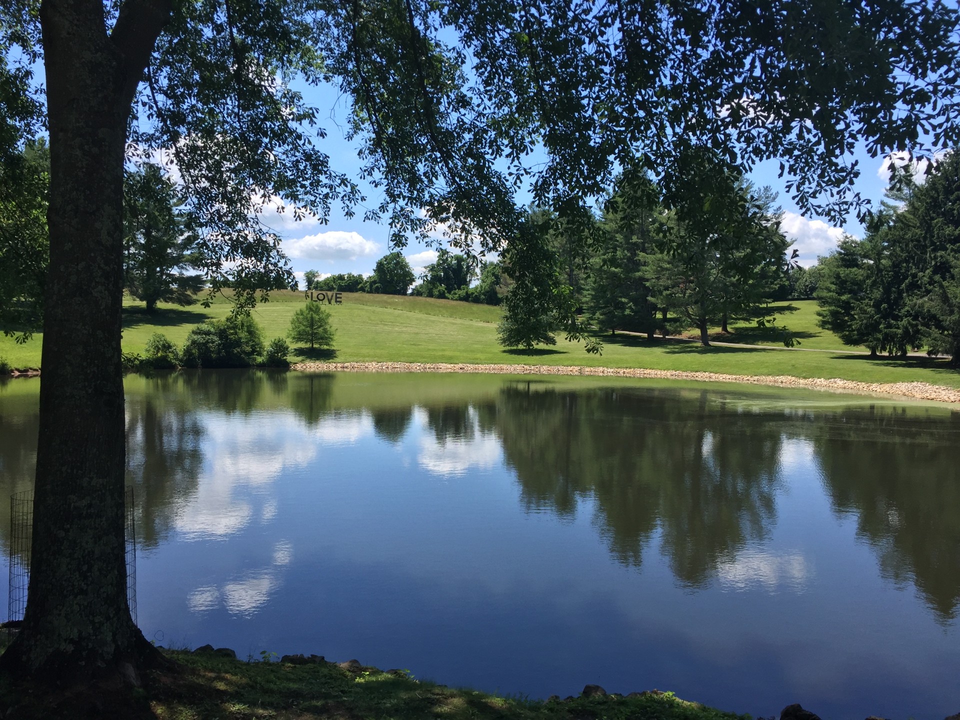 a lake with trees and grass in the background