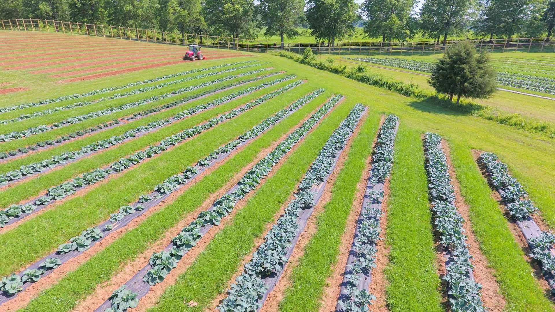 a tractor working in a field