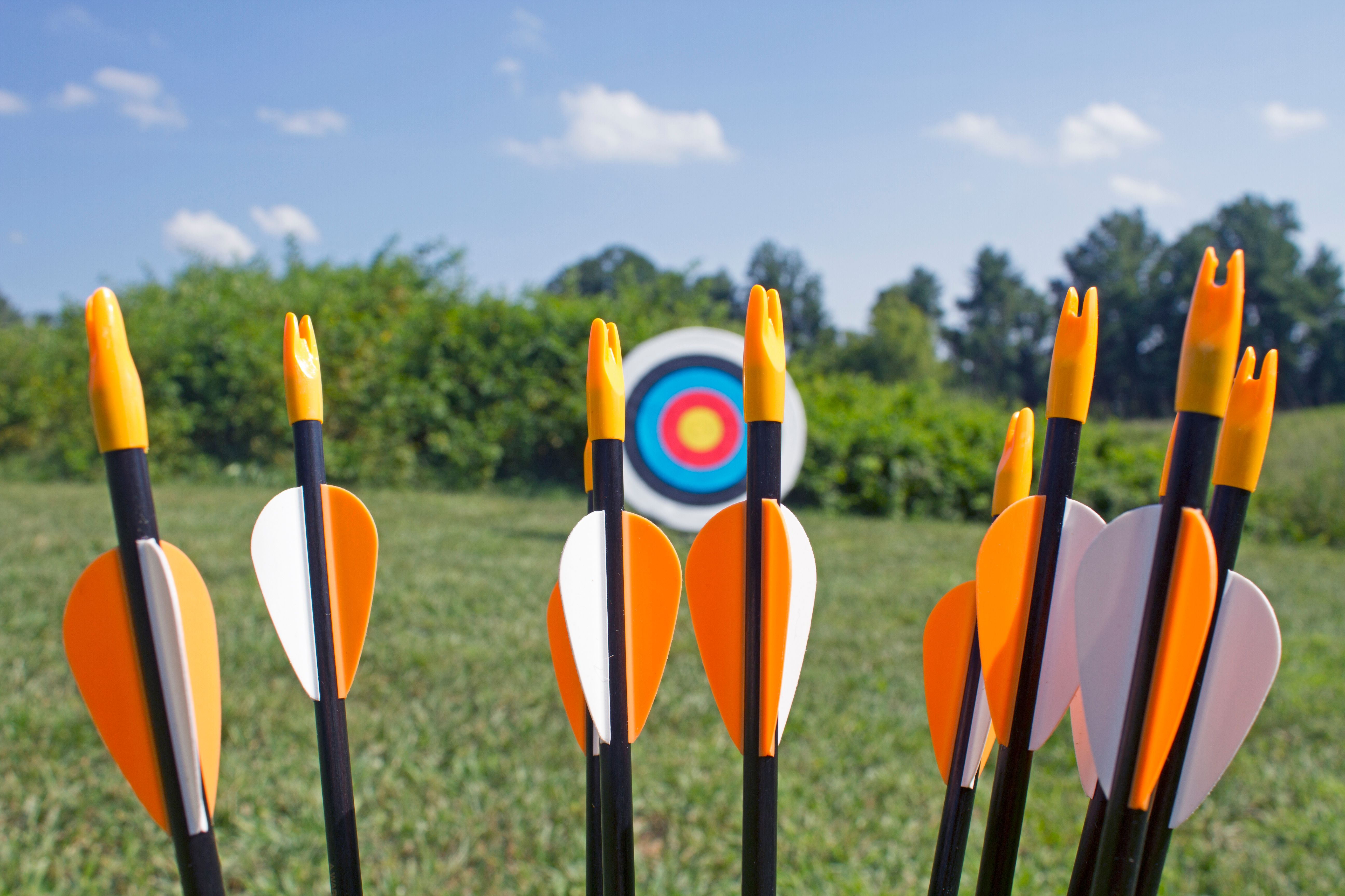 arrows in a field with a target in the background