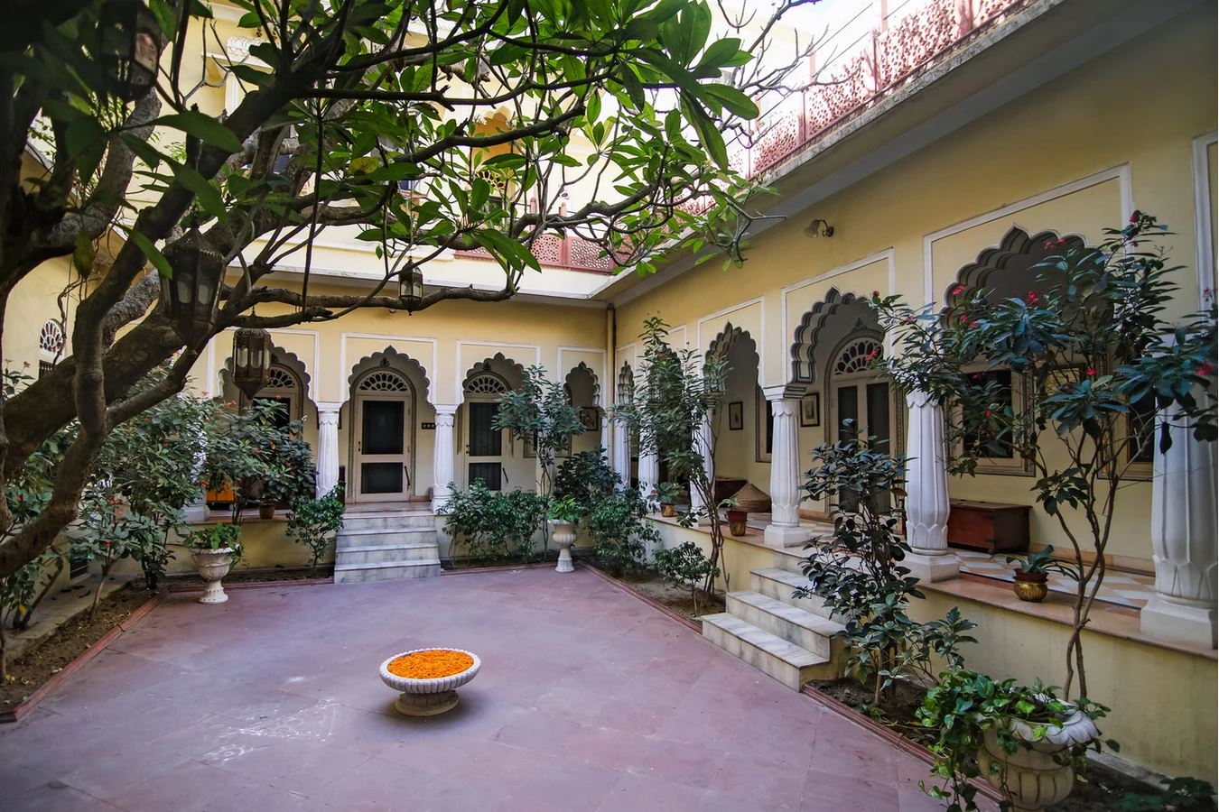 a courtyard with trees and a potted plant