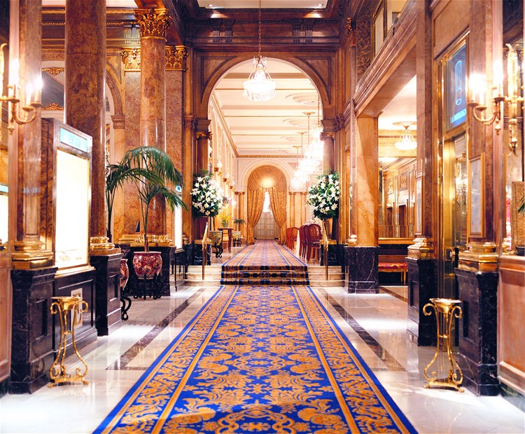 a long hallway with a blue carpet
