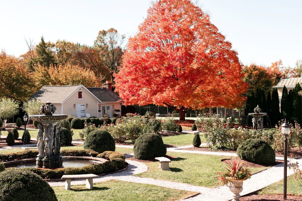 a garden with a fountain and a house