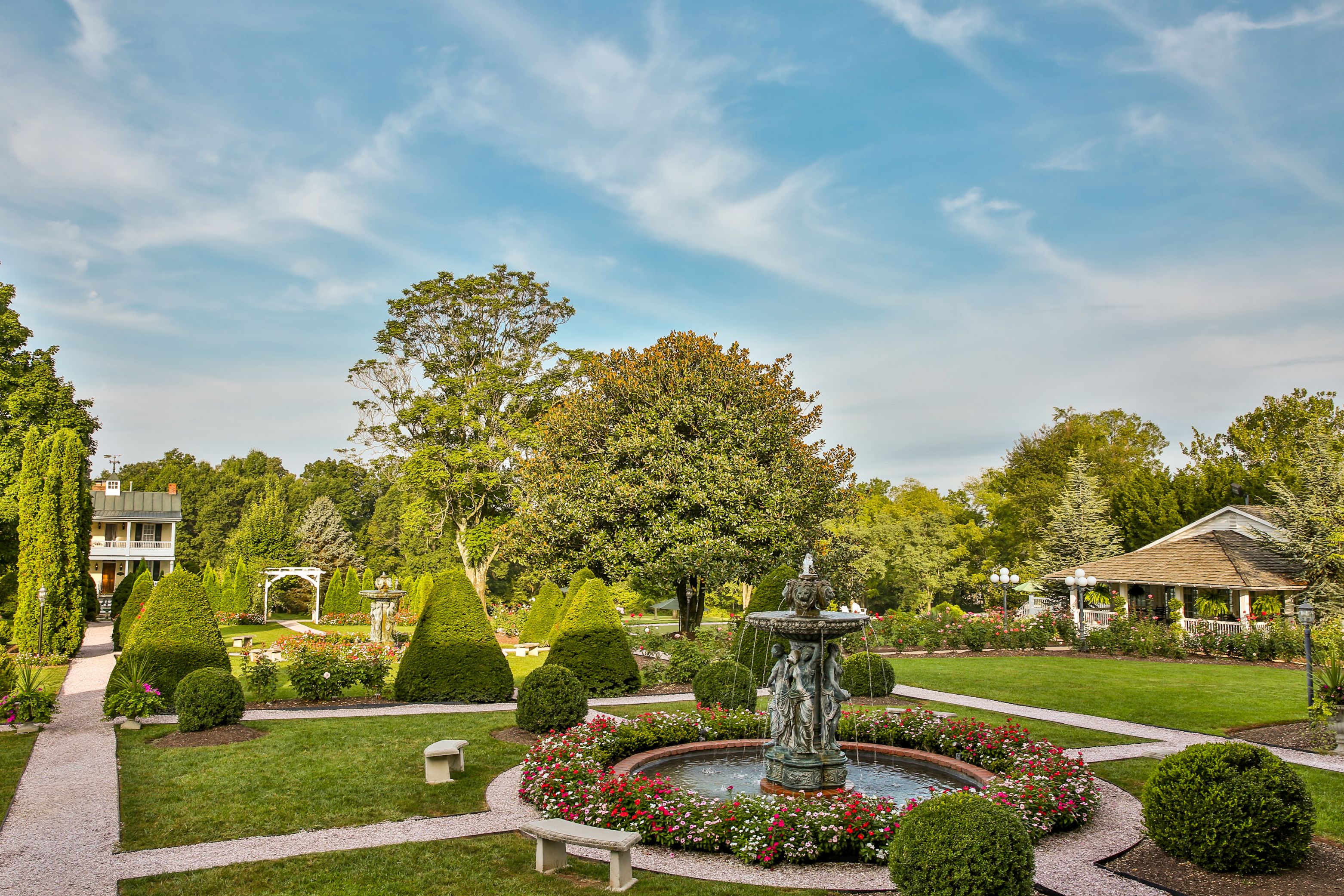a fountain in a garden