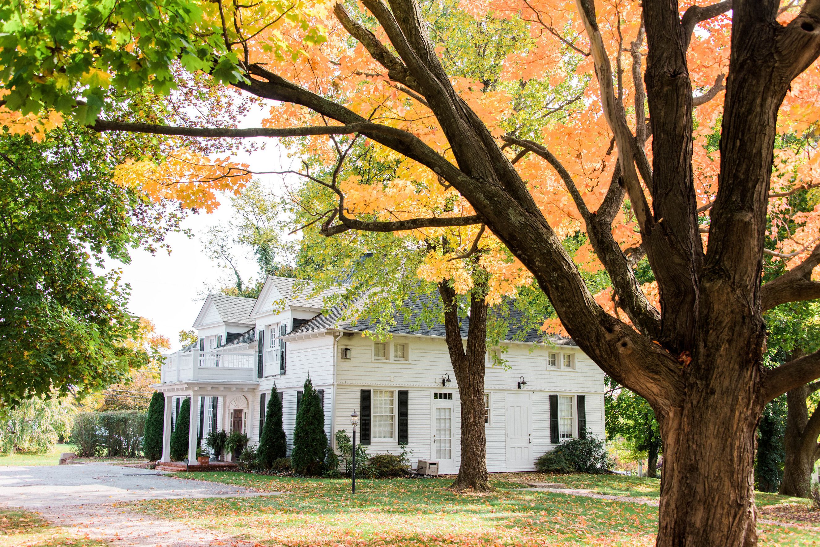a white house with trees and a road