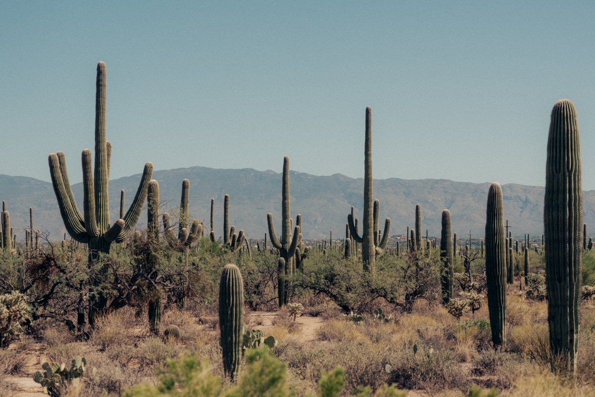 1200x800_arizona_inn_gallery_general_4_high 6a05ce469b6a0