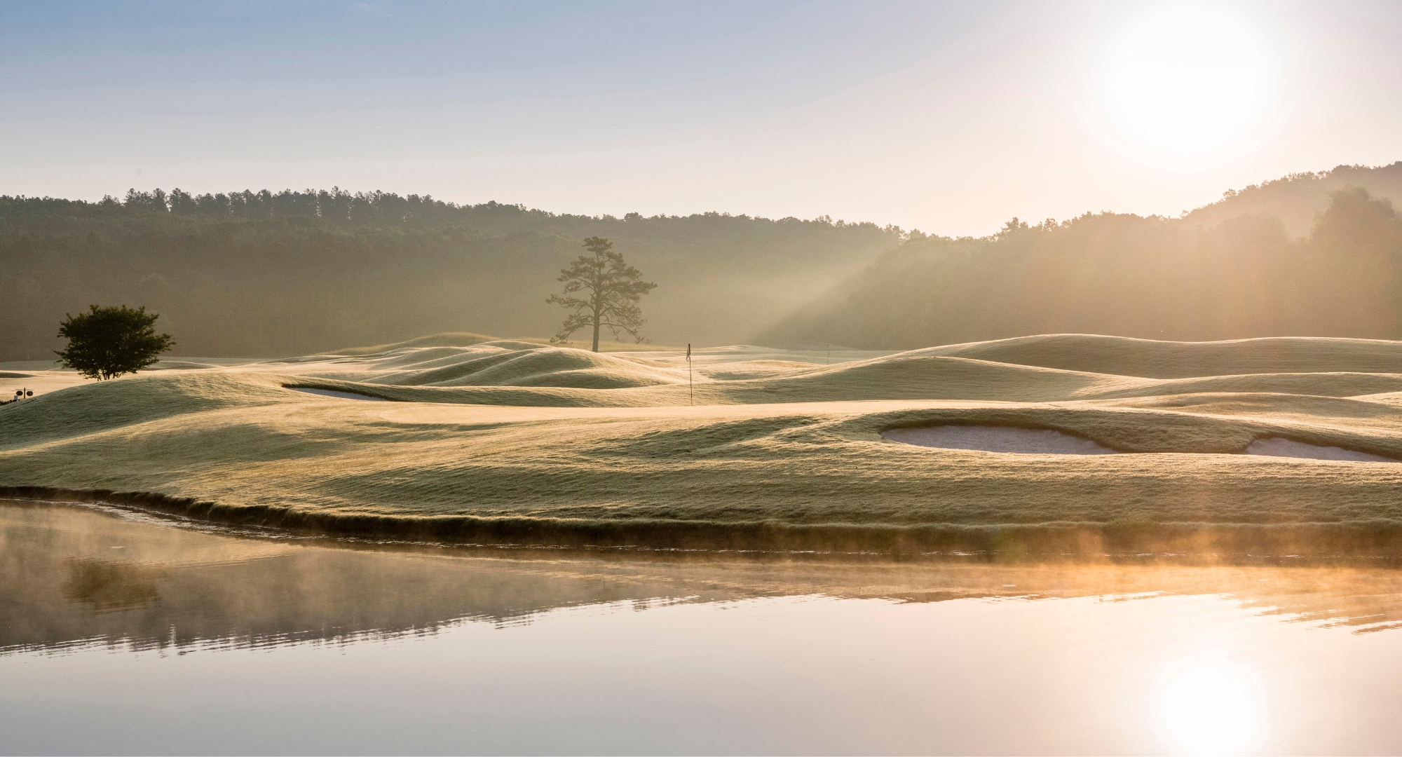 a golf course with a tree and water