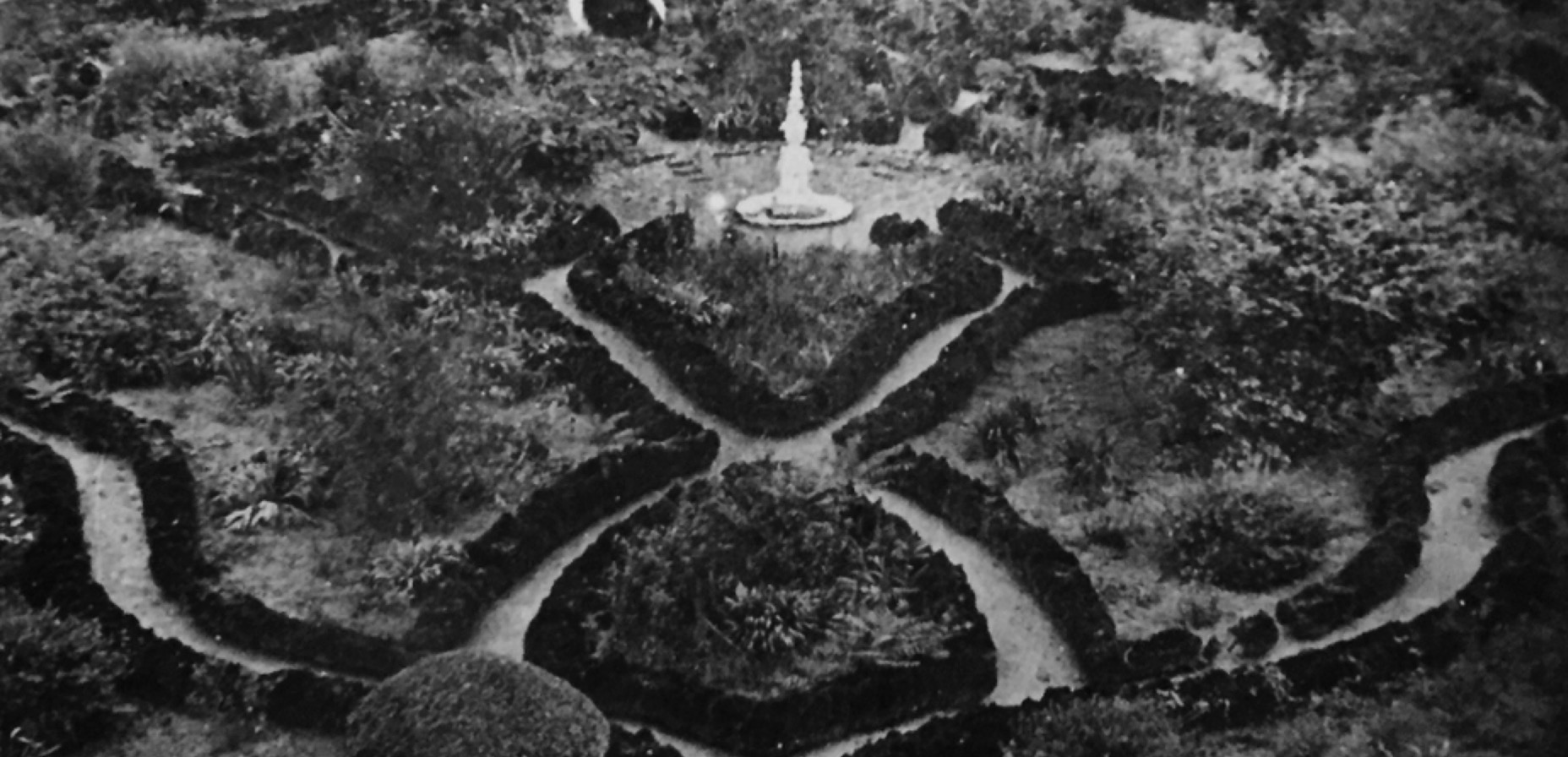 a fountain in a garden