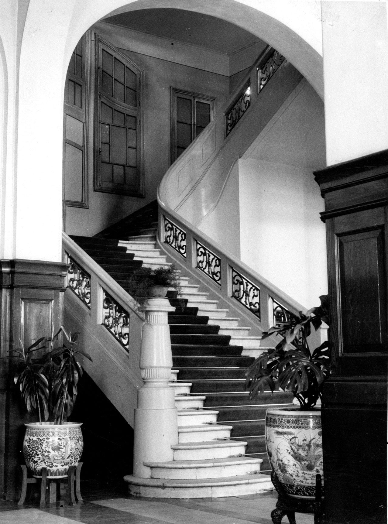 a staircase with a railing and plants
