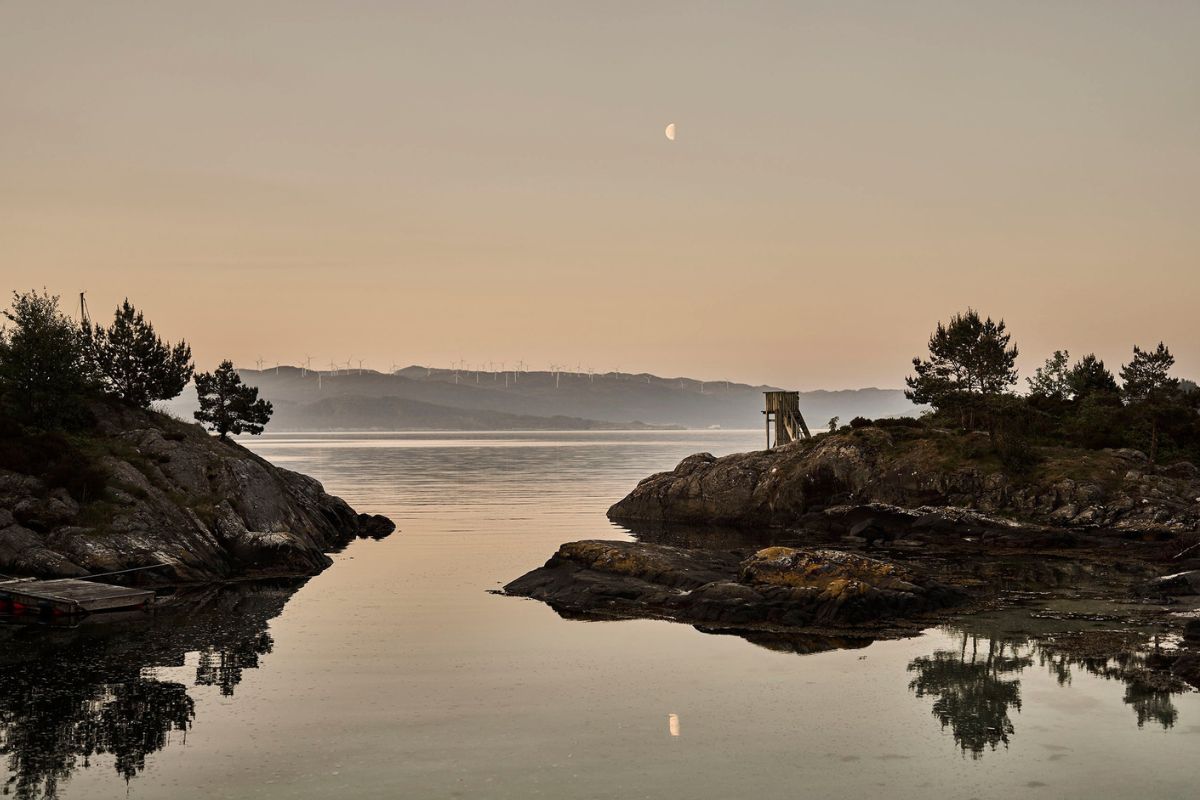a body of water with trees and a hill in the background