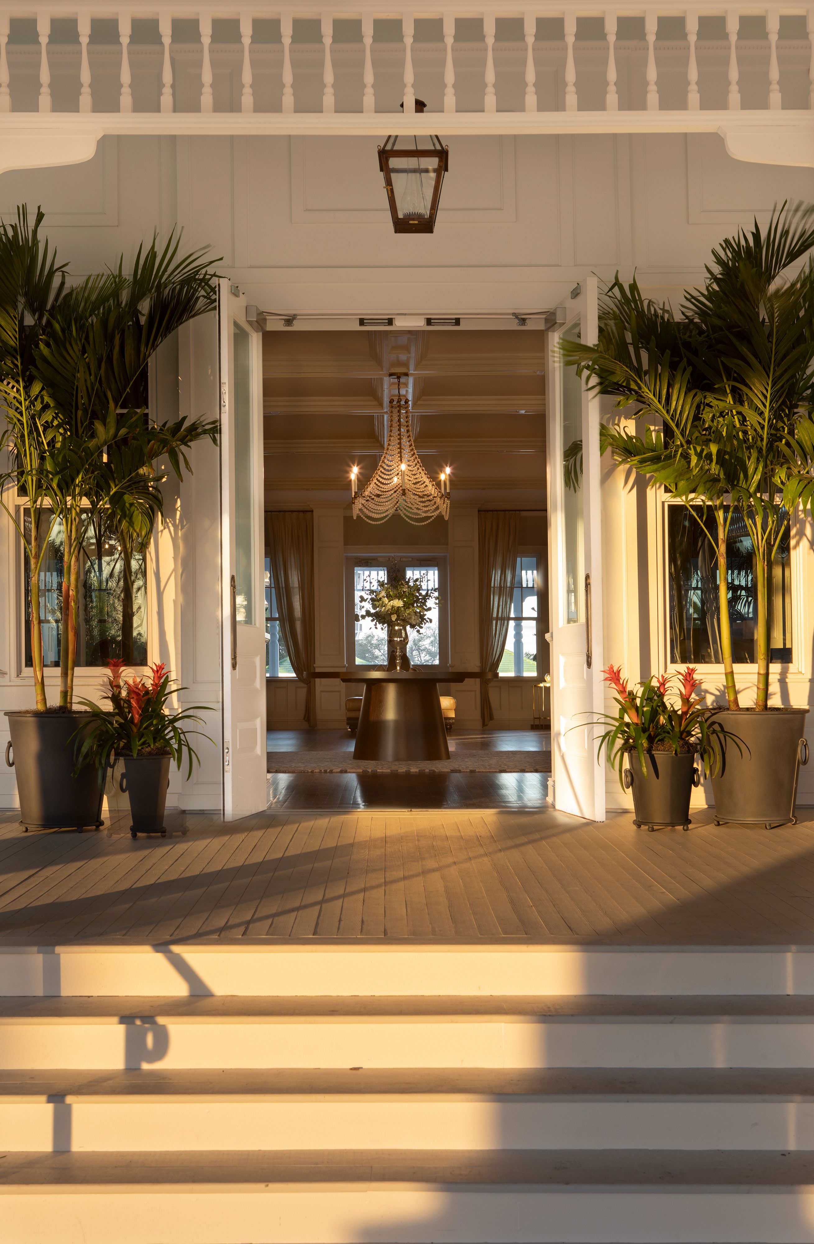 a room with a chandelier and palm trees