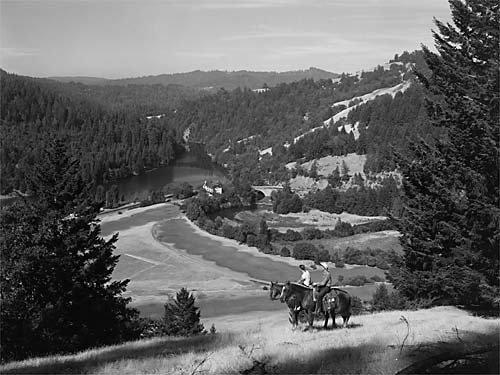 a man riding a donkey on a hill