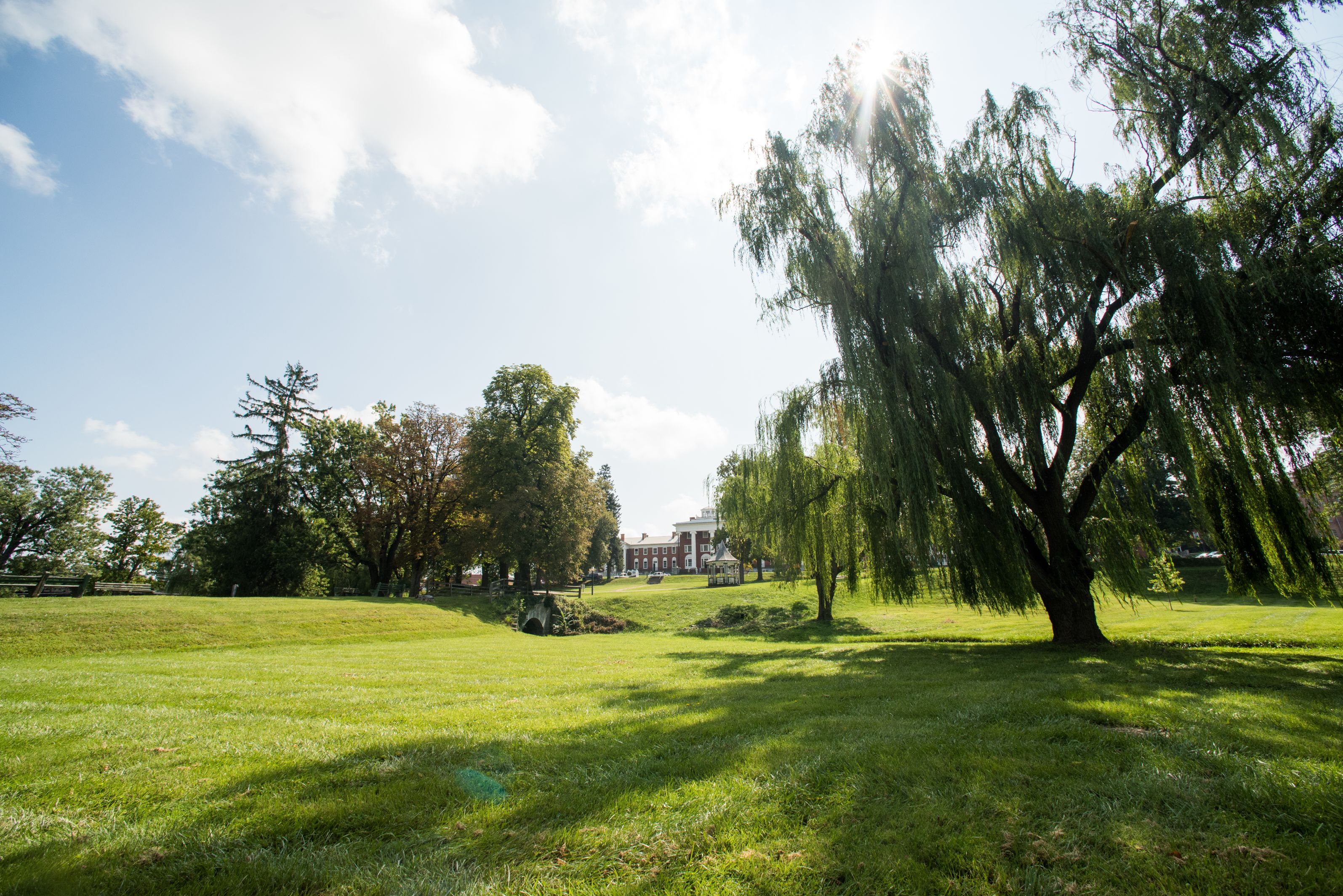 a grassy field with trees and a building in the background
