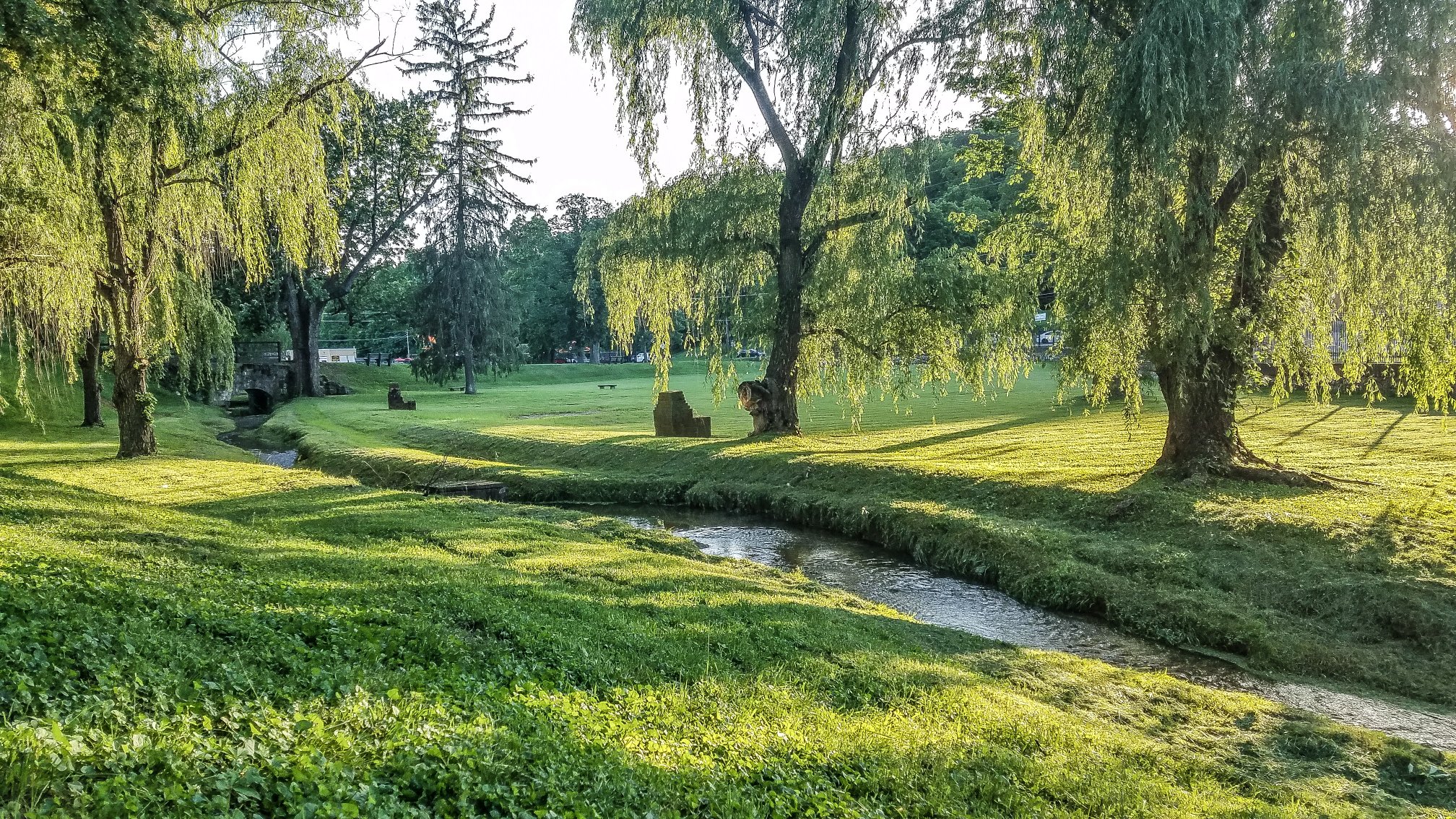 a stream running through a grassy area