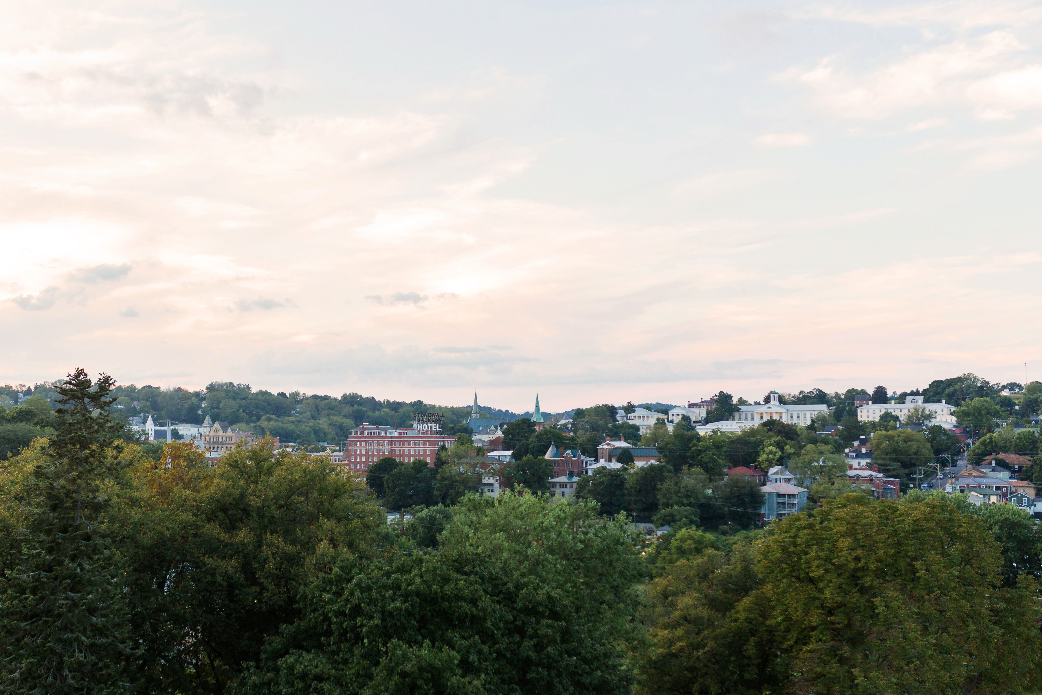a city with trees and buildings