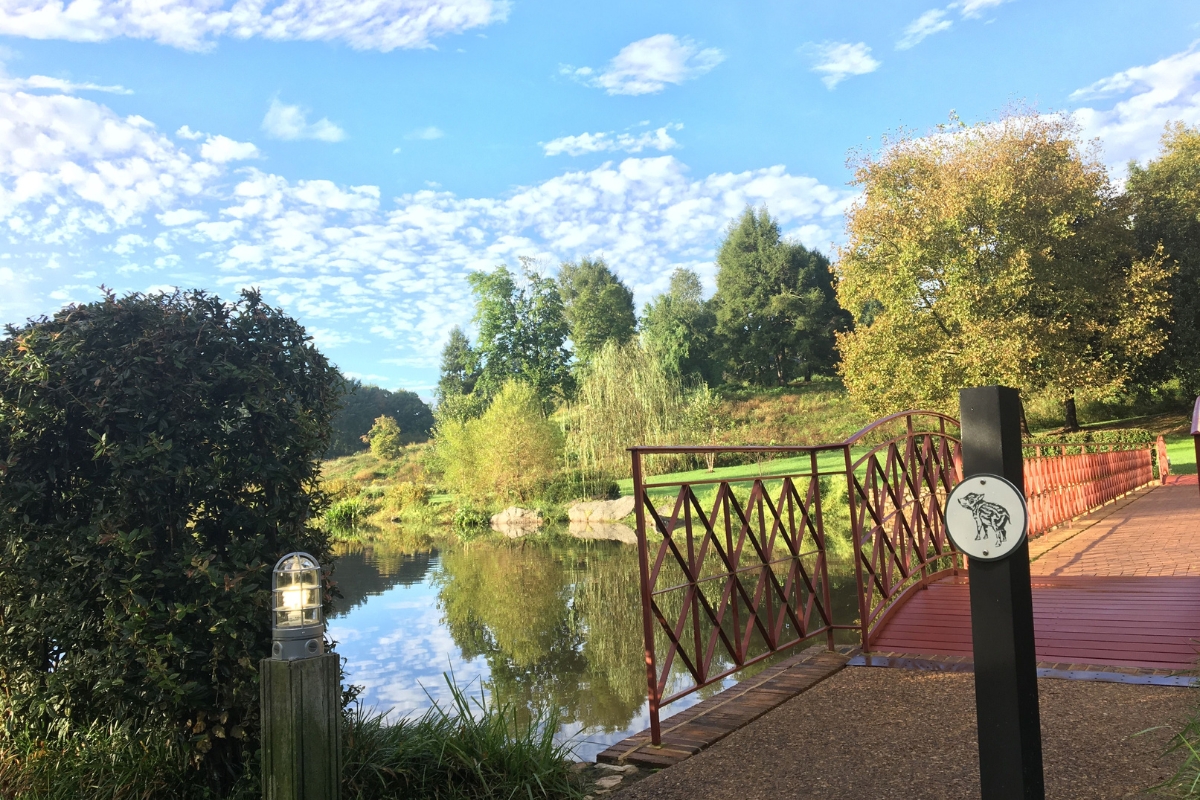 a bridge over a body of water