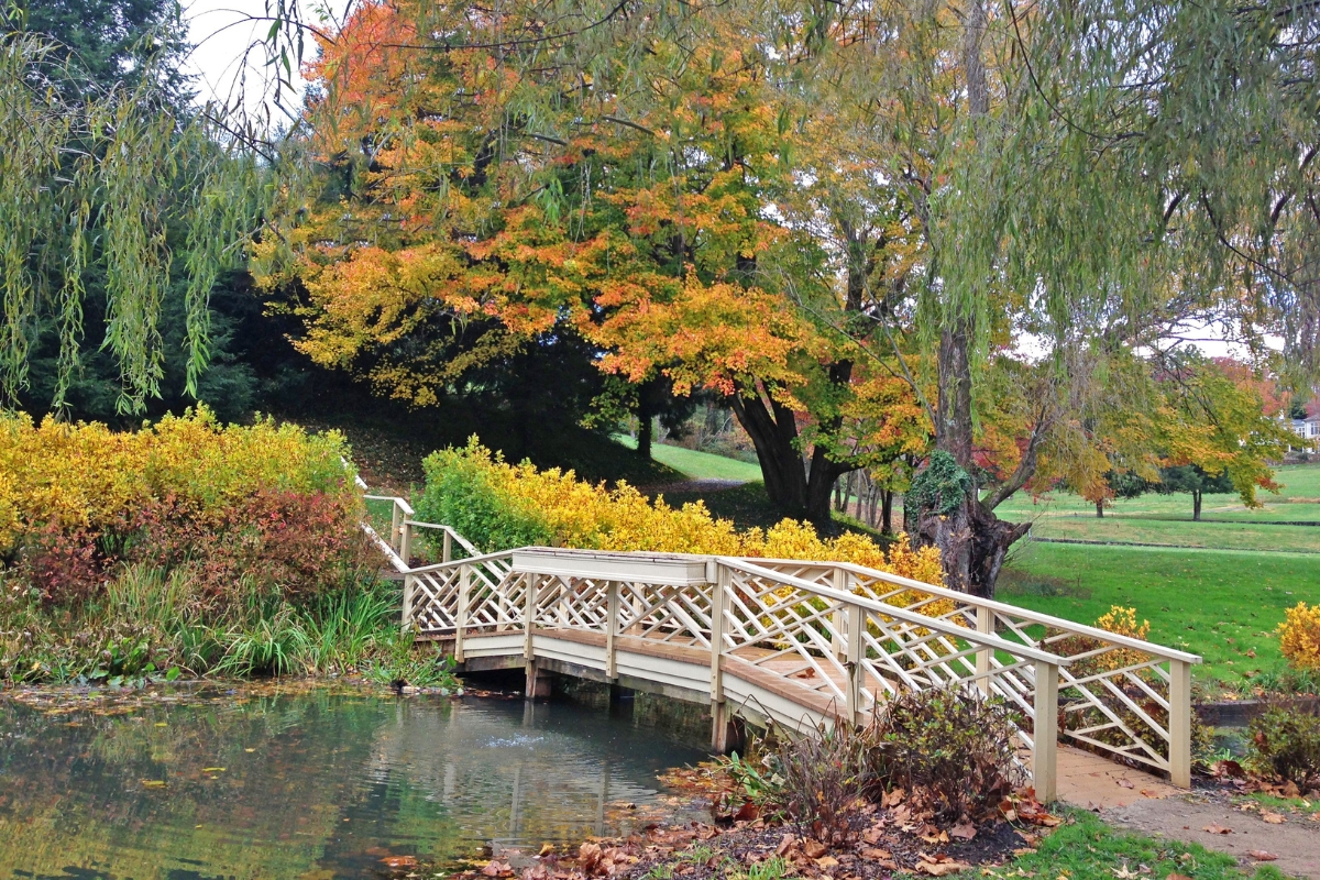 a bridge over a pond with trees and grass