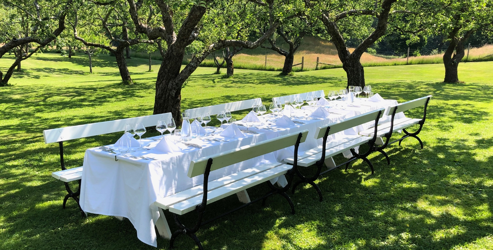 a long table with white tablecloth and white tablecloth on it