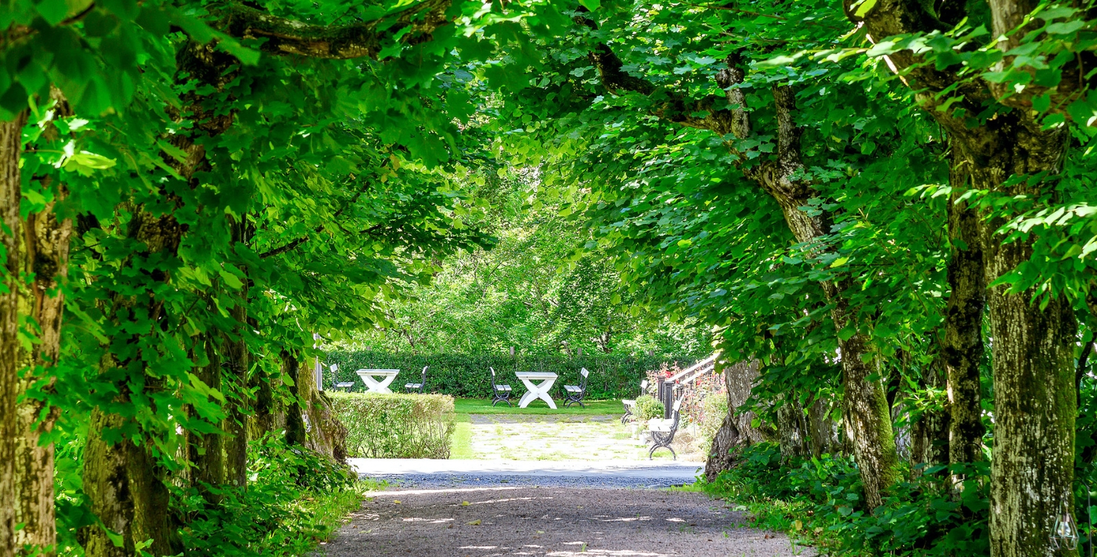 a path with benches and tables in the middle of a park