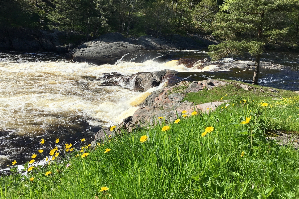 a river with a river running through it