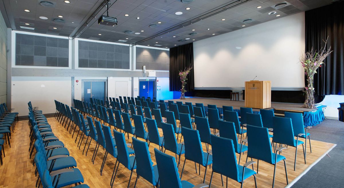a room with rows of blue chairs
