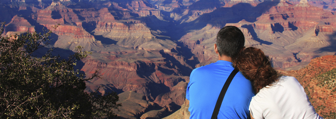 a man looking at a canyon