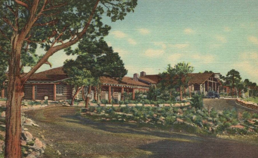 a house with trees and a garden