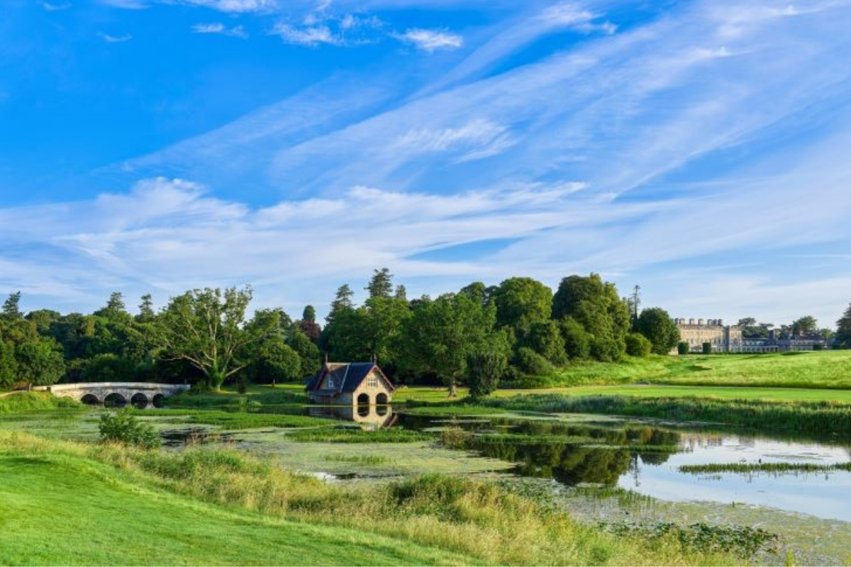 a house in a pond surrounded by trees