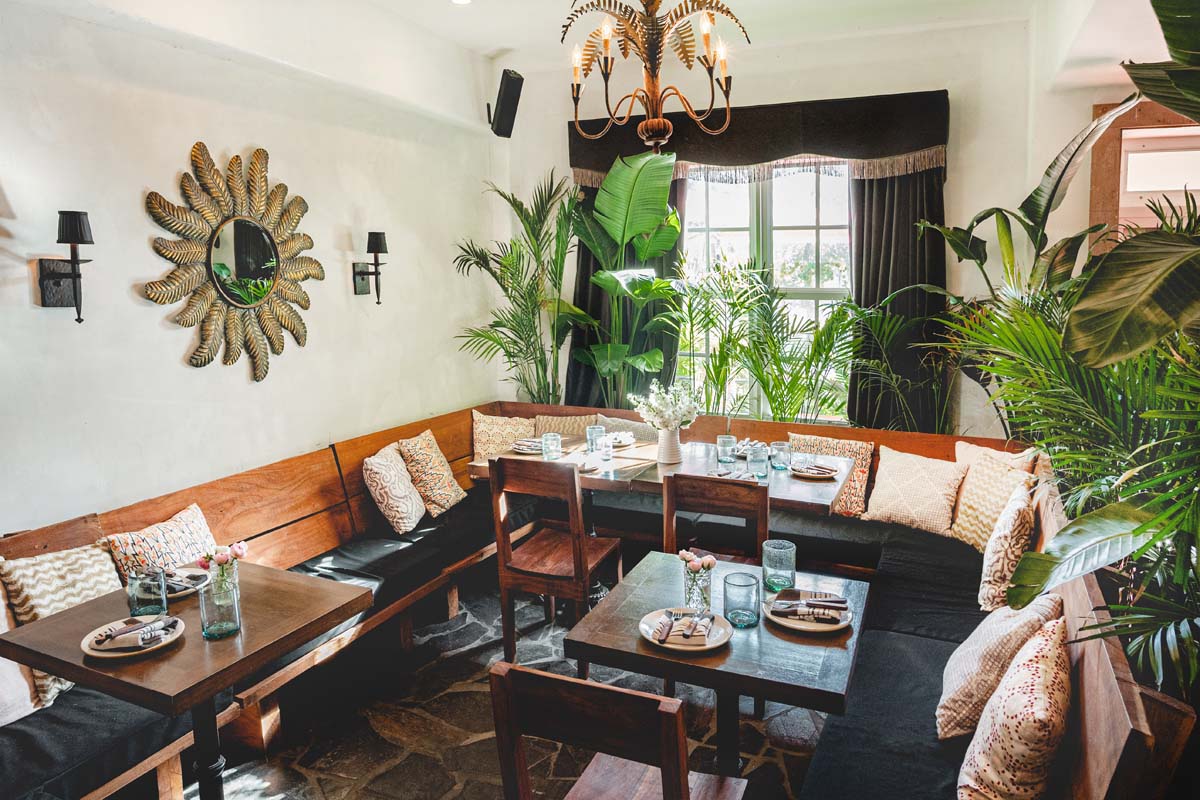 a room with a couch and tables and plants