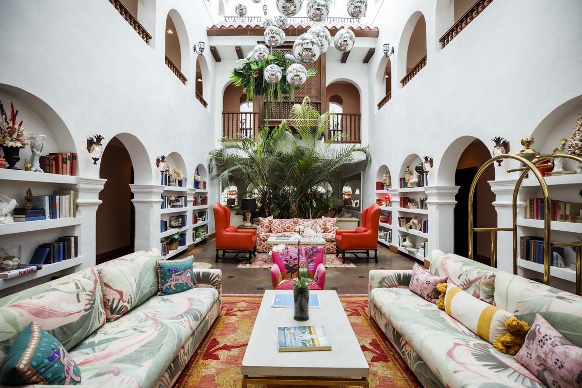 a room with a large plant and a couch