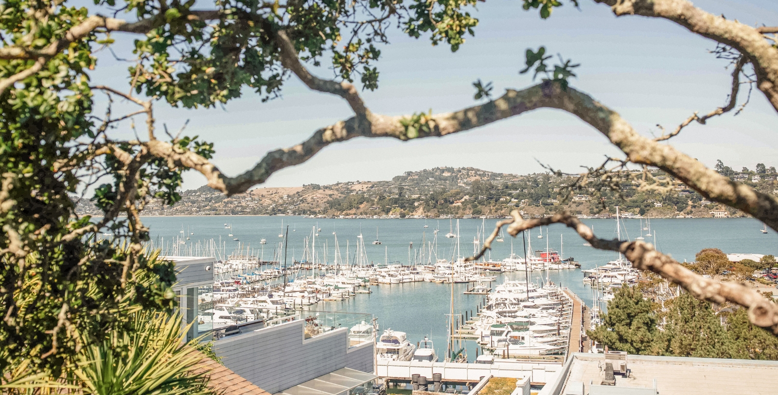 a marina with many boats
