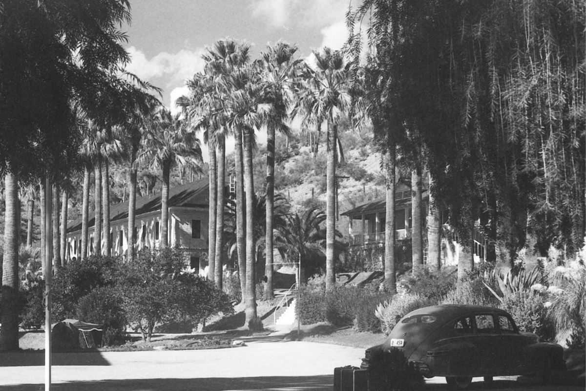 a car parked in front of palm trees