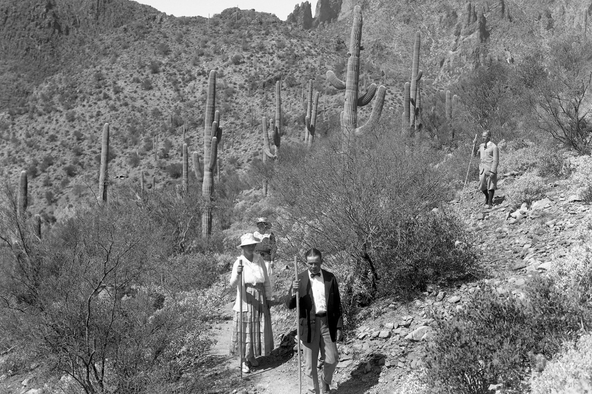 a group of people walking on a trail with cactuses