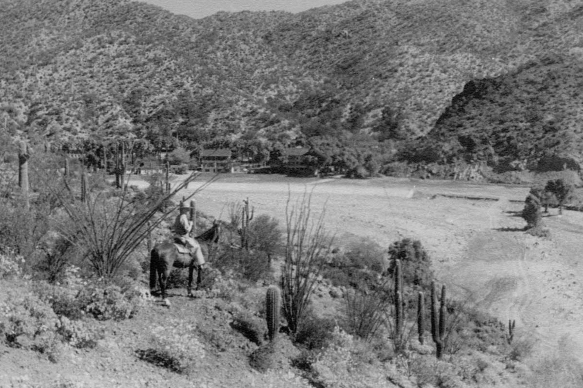 a man riding a horse in a desert