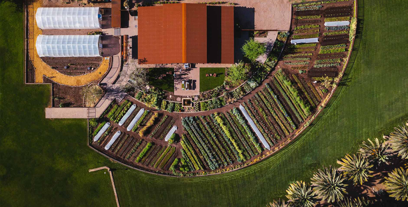 an aerial view of a garden