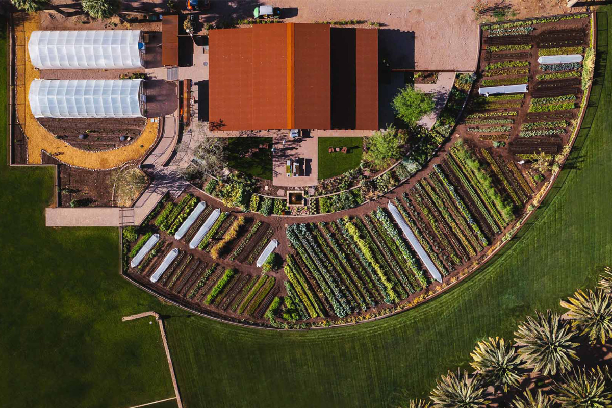 an aerial view of a garden