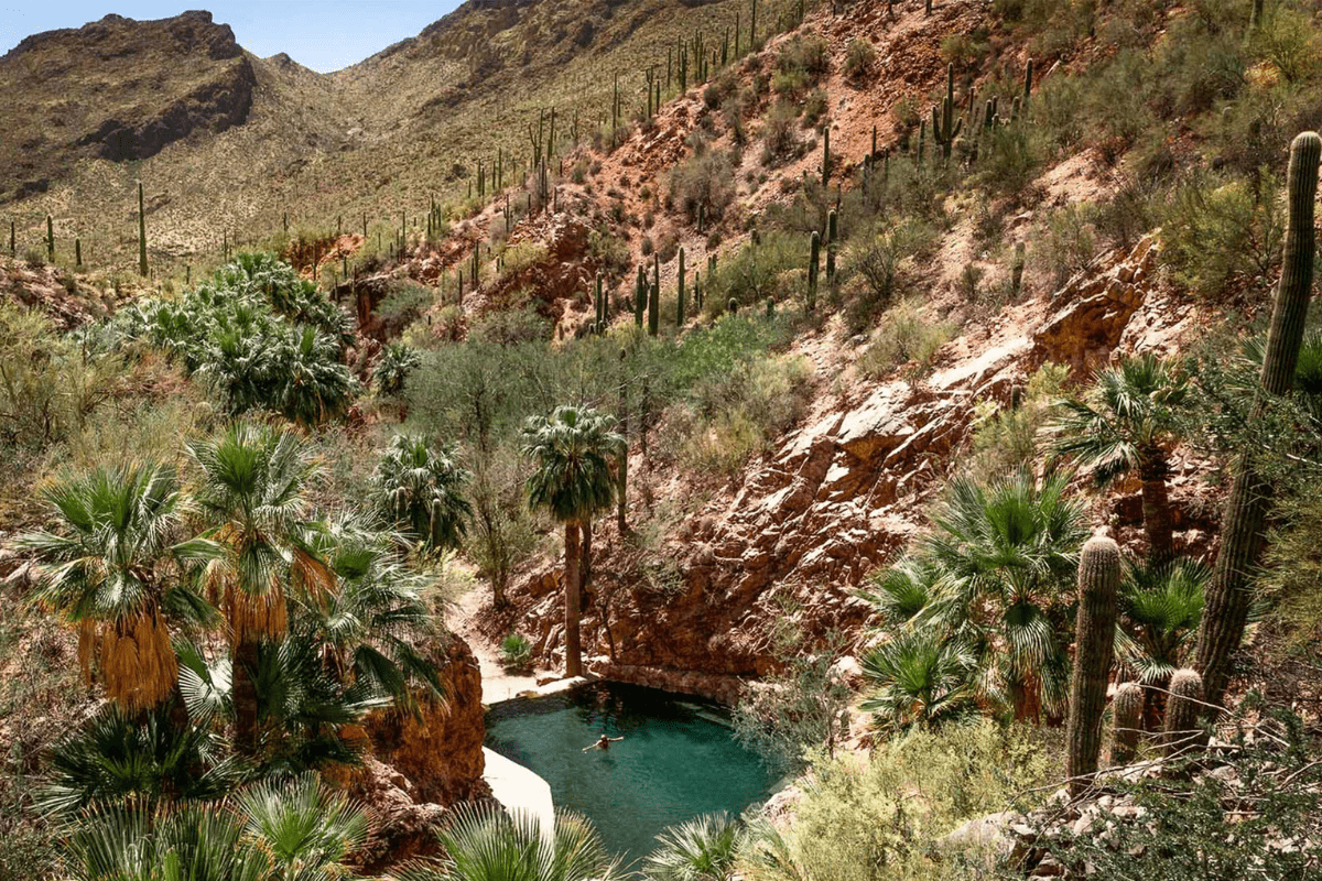 a pool in a desert