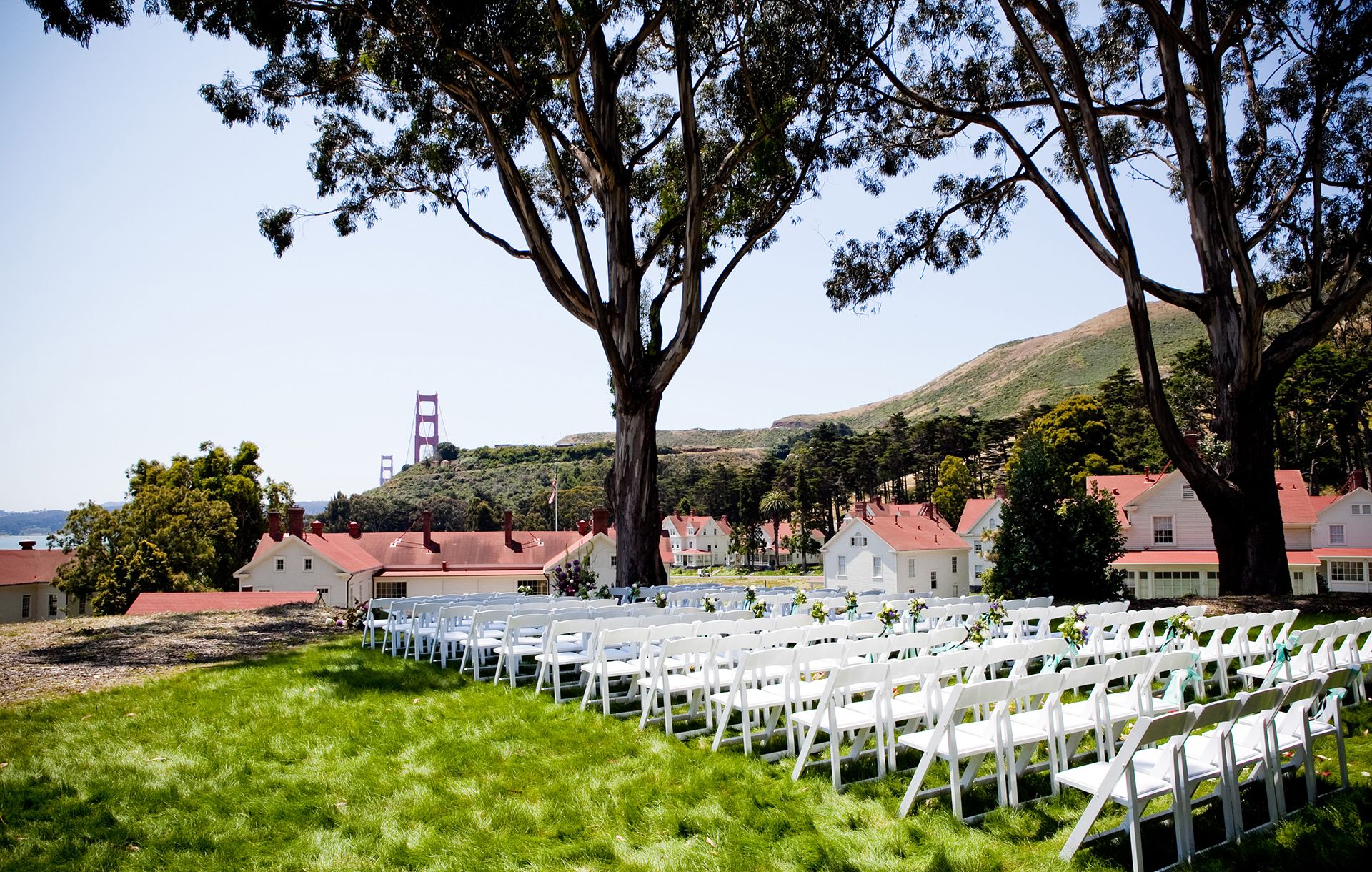 a row of white chairs in a field with a tree and a bridge in the background