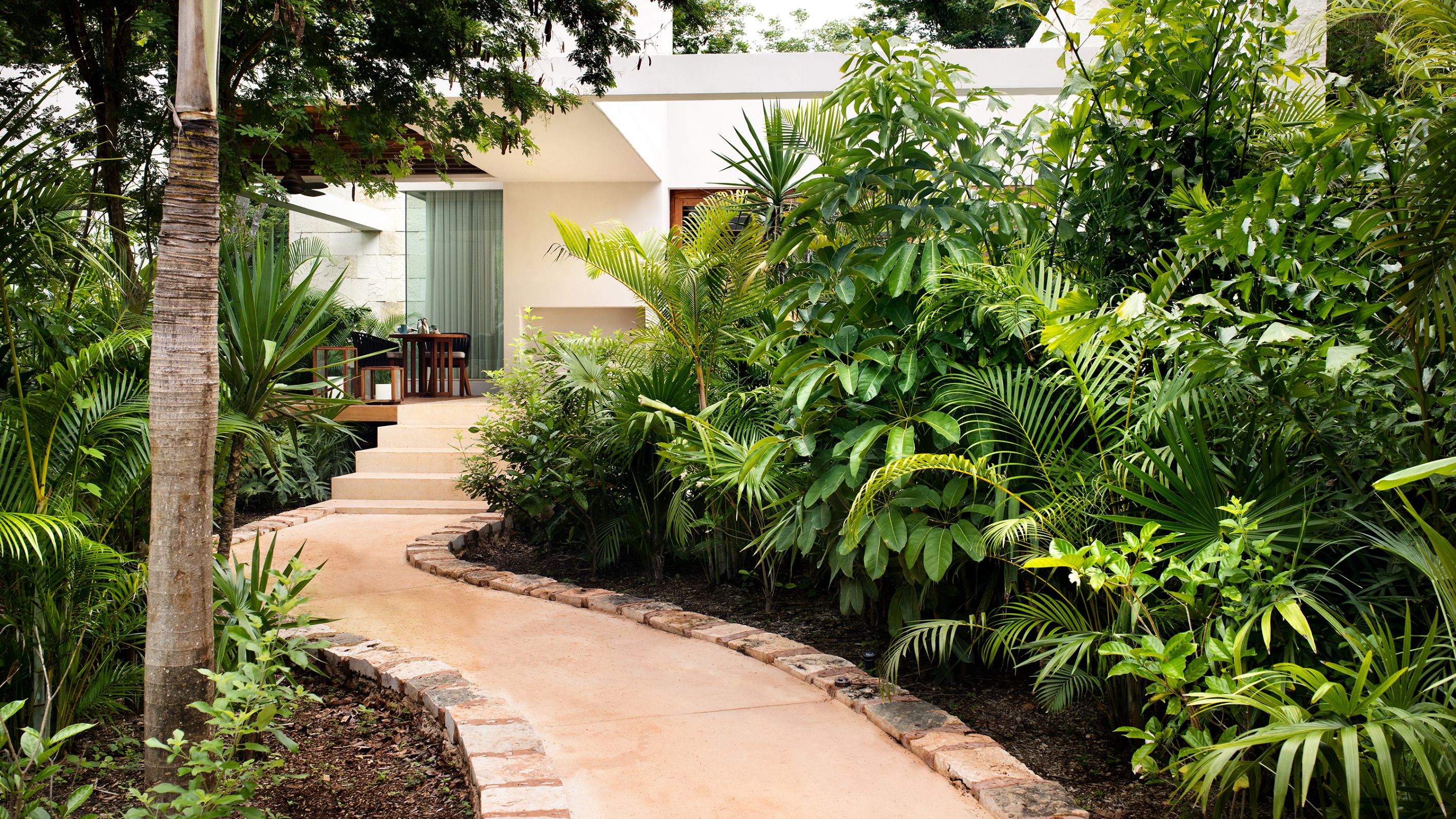 a path leading to a house with plants