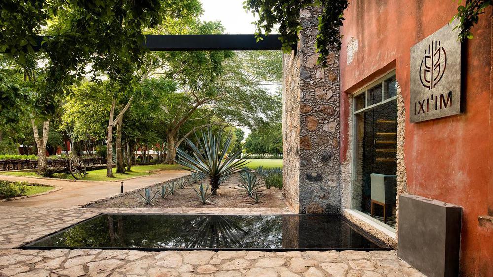 a building with a pond and trees