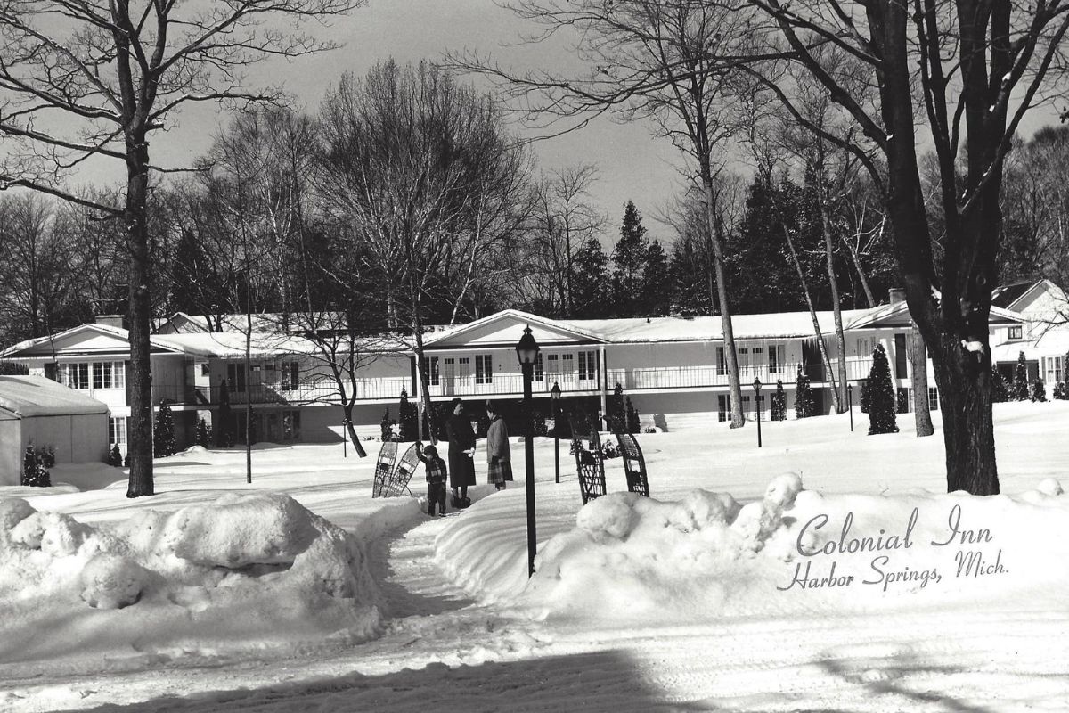 a snow covered yard with trees and buildings
