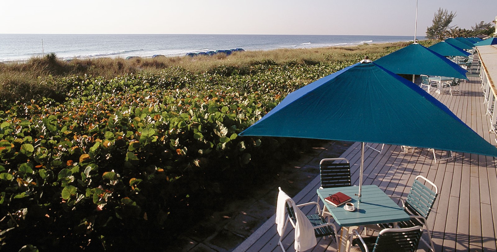1600x813_beachcab