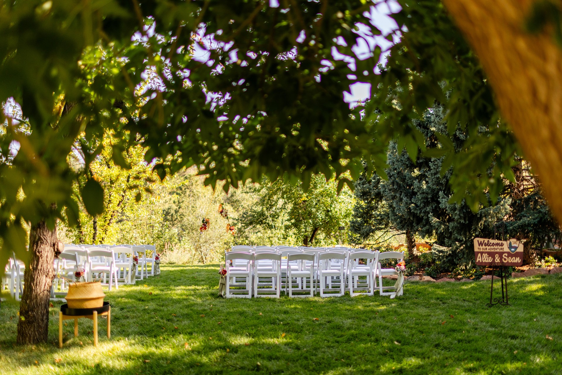 a group of white chairs in a circle in a grassy area
