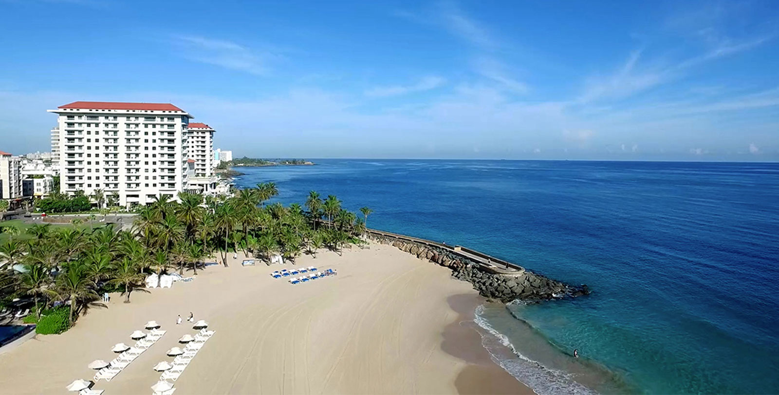 a beach with palm trees and a body of water