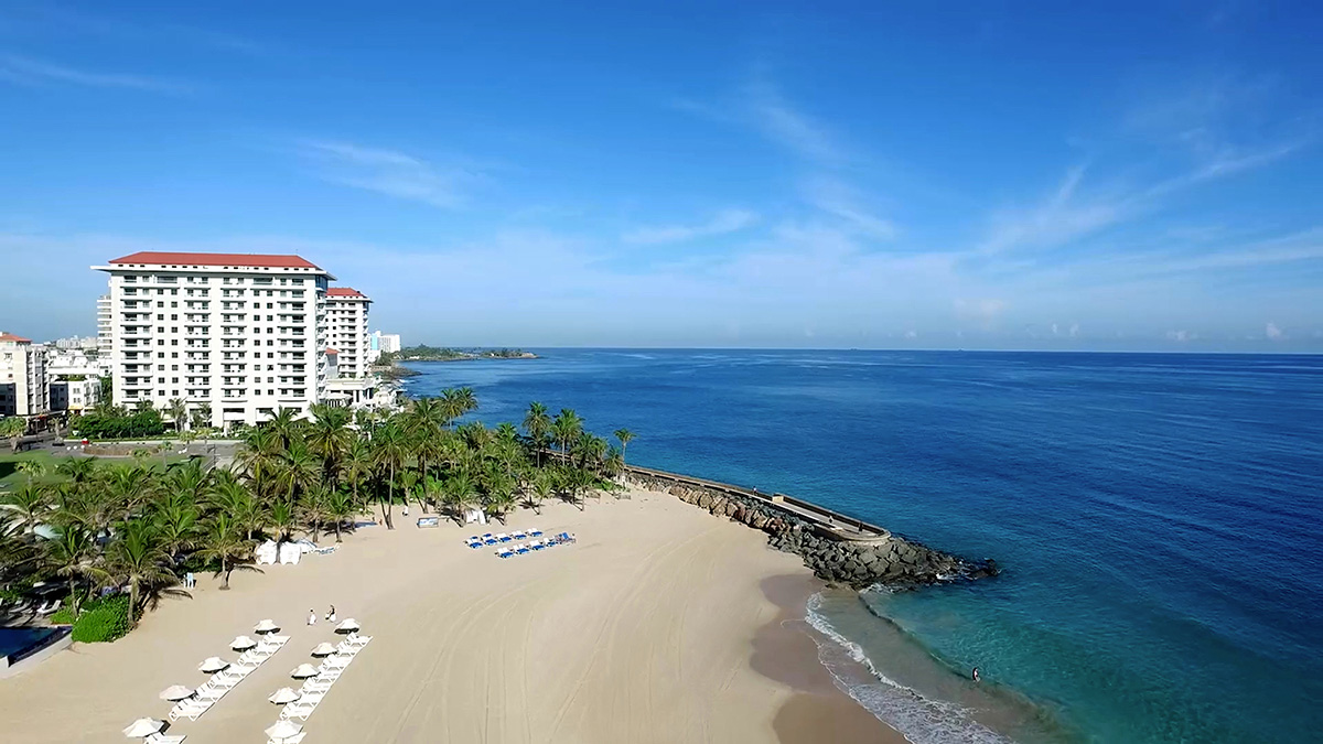 a beach with palm trees and a body of water