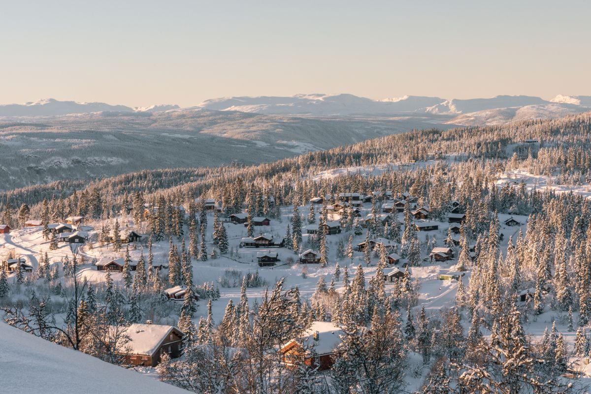 a snowy landscape with houses and trees