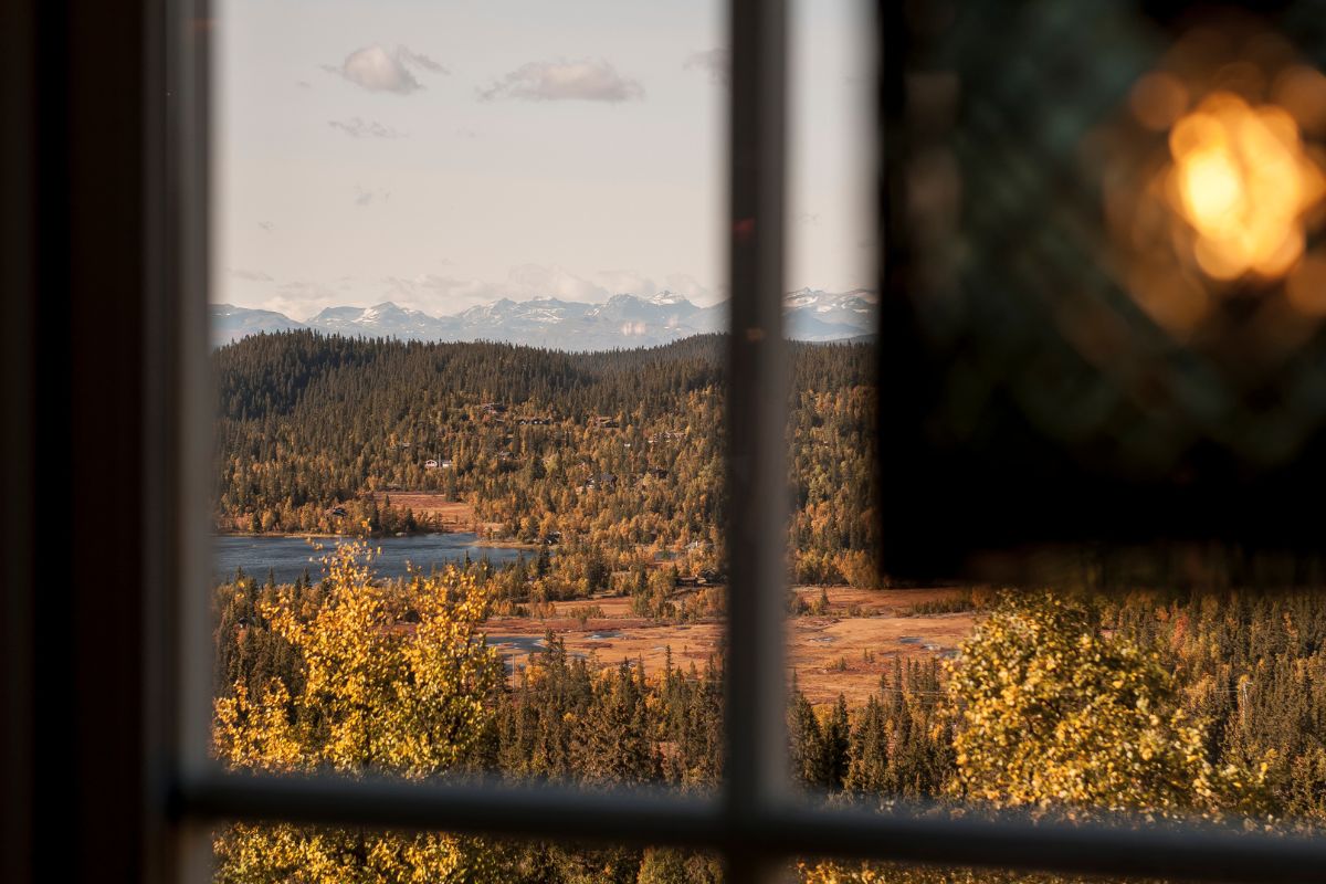 a view of a forest and mountains from a window