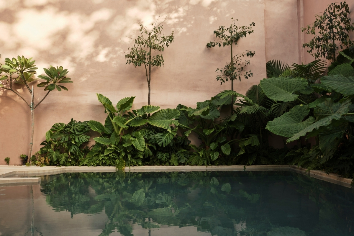 1200x800_domus_blanc_gallery_exterior_20_high 69d9022642059
